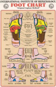Cartographie de réflexologie plantaire d'Ingham - Fanny Vaugeois 91